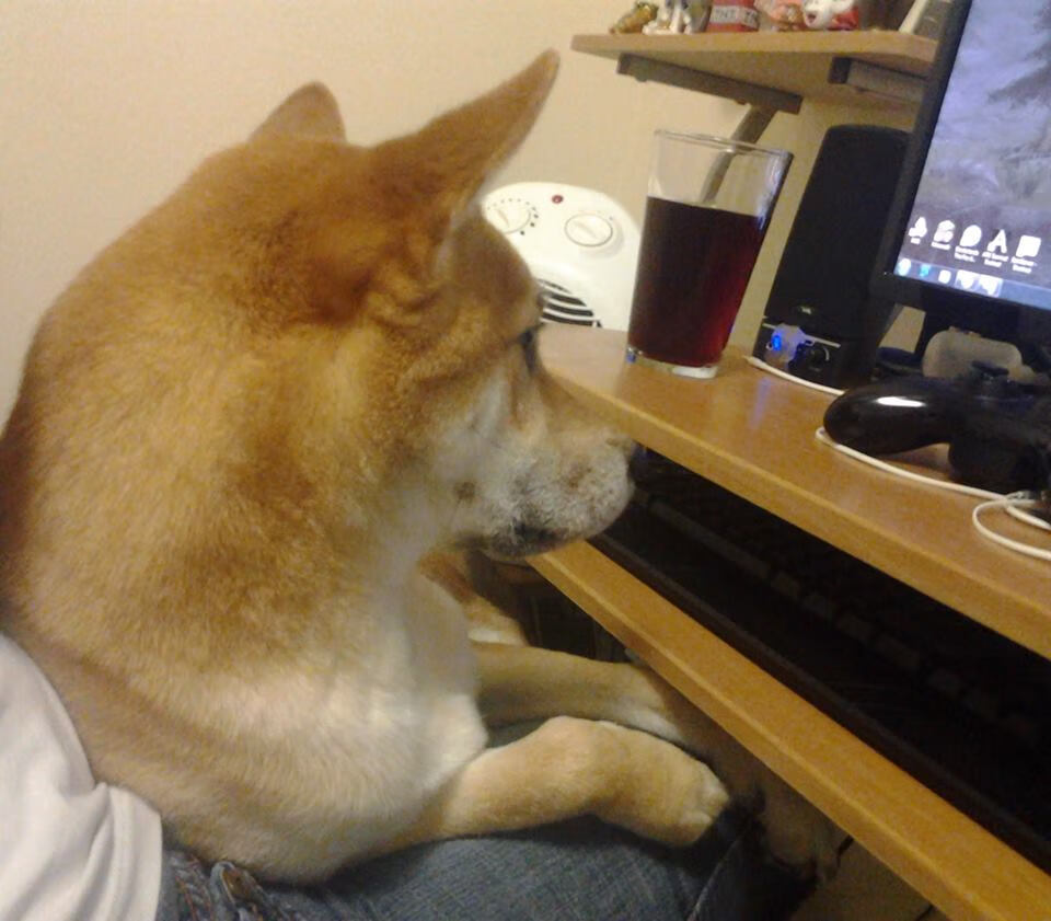 乐鱼体育平台官网-大名单出炉，新一届国家队备战正酣，新一届中国国家队