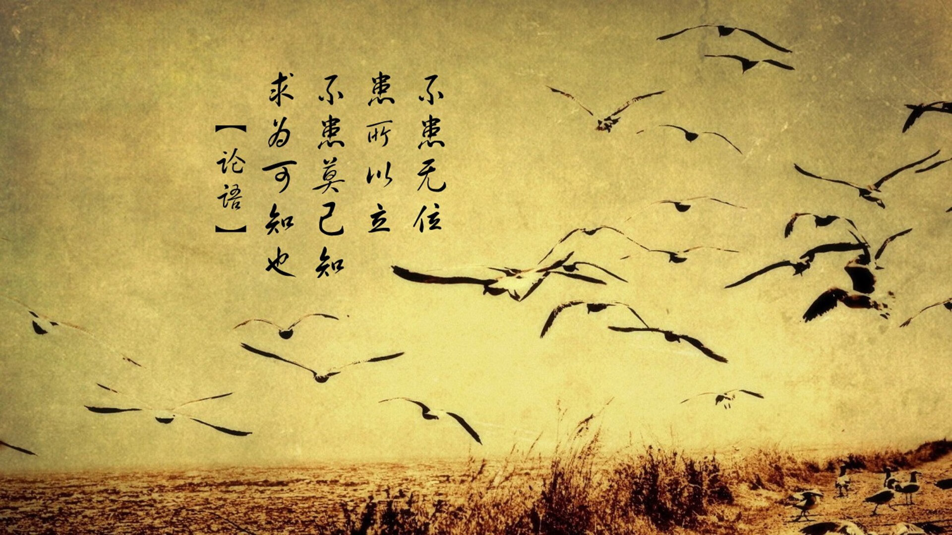 大巴黎主场告负，需全力争取下回合，大巴黎主场叫什么