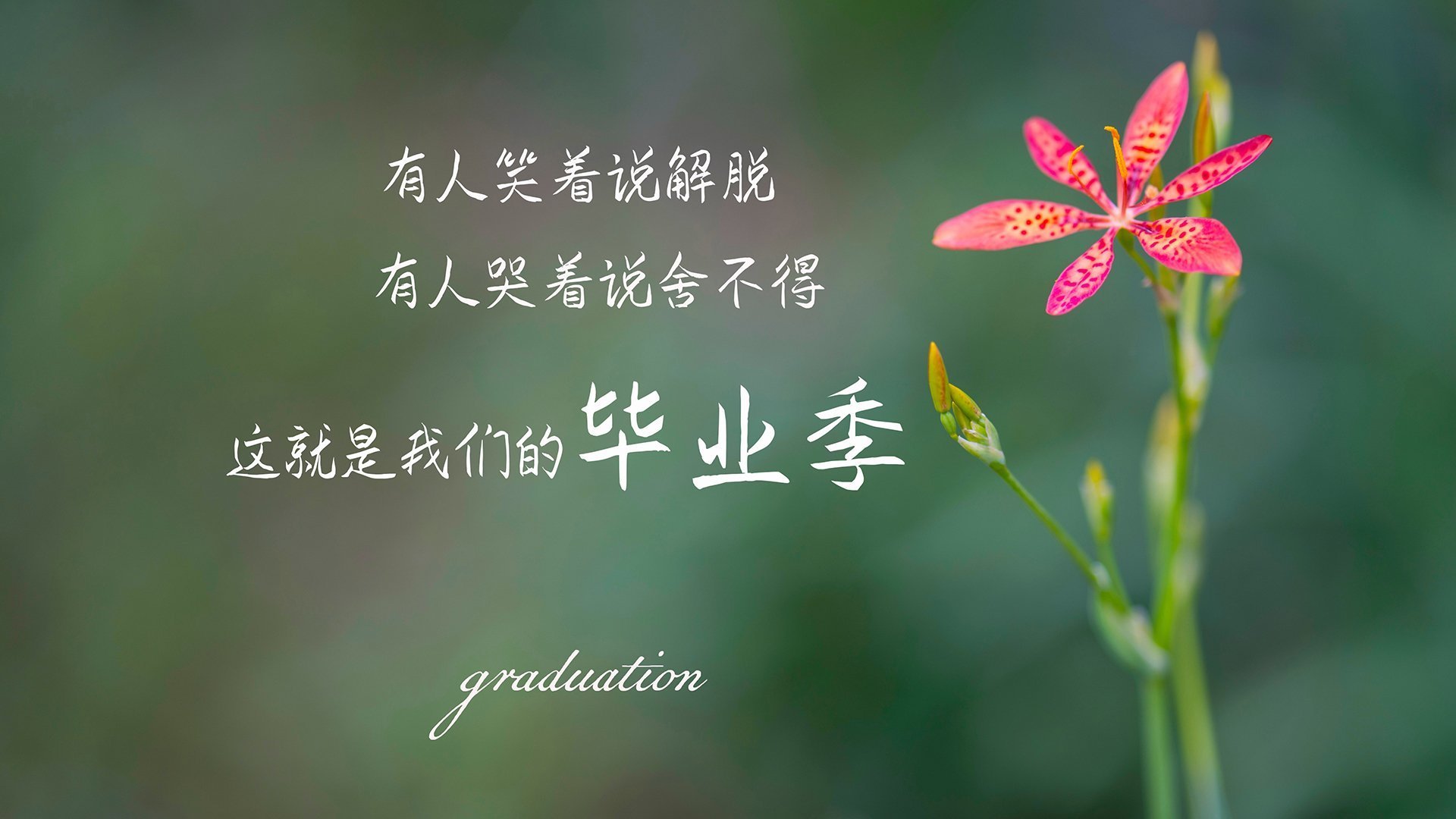 欧国联赛业余联赛迎来高潮，球迷狂热，欧国联赛程表2020