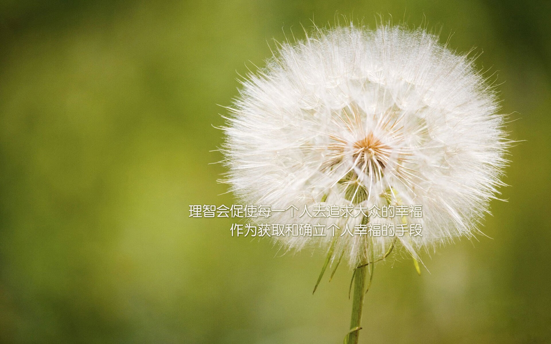 韩国星际争霸赛事粉丝互动活跃，韩国星际争霸比赛