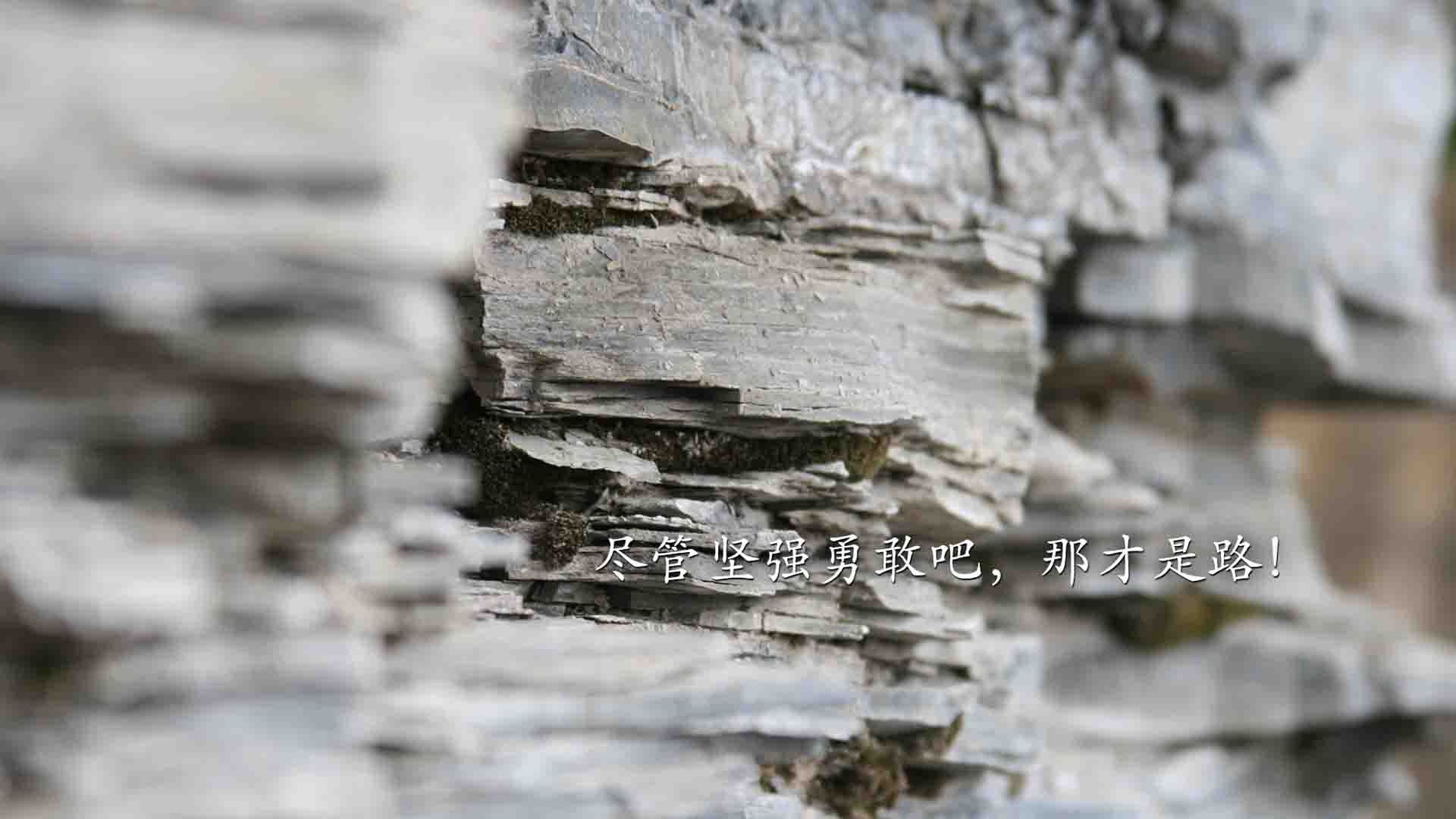 西甲俱乐部粉丝数字画像与商业潜力开发，收获1亿粉丝的西甲联盟好事不断