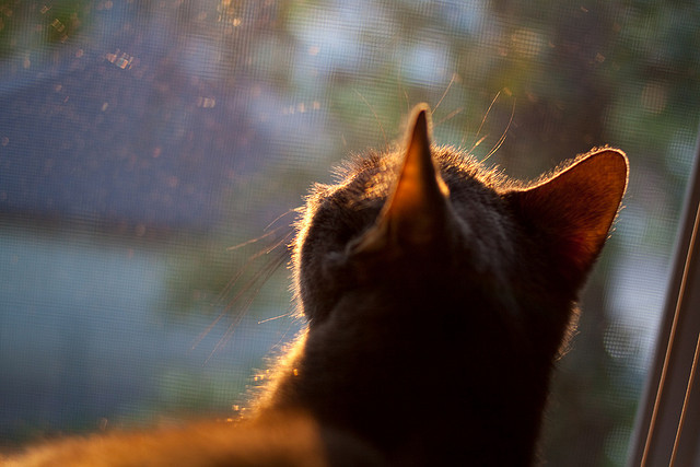 中国滑板队备战奥运重点提升动作稳定性，中国滑板队成员