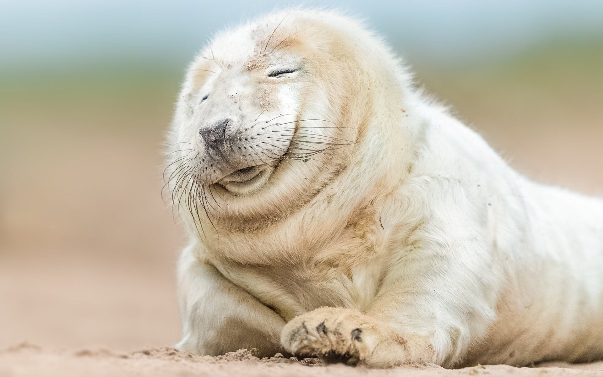 大数据平台支持运动表现分析,问题_大数据驱动下的体育究竟是风险还是不确定事件