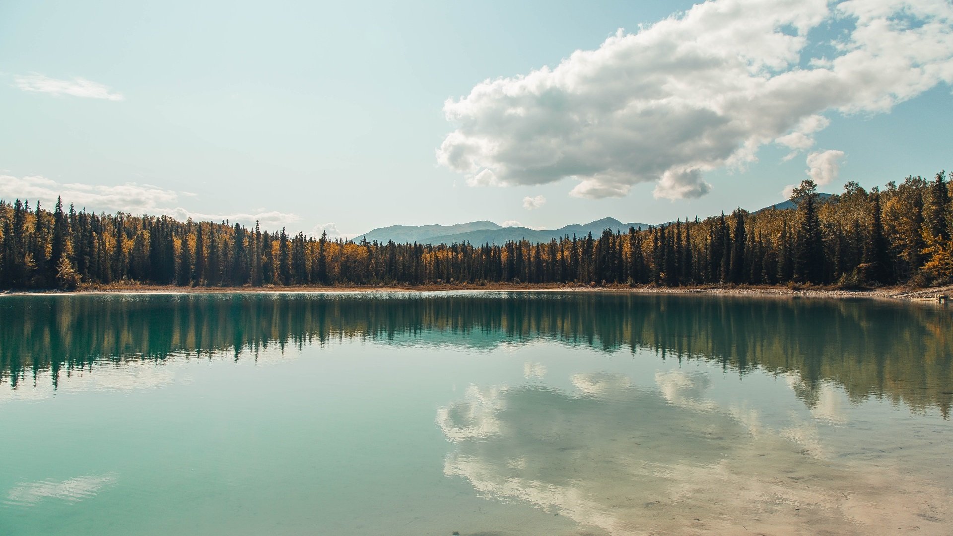 女子蝶泳换气节奏变化：中美选手路径分野，蝶泳动作要领图解及换气技巧