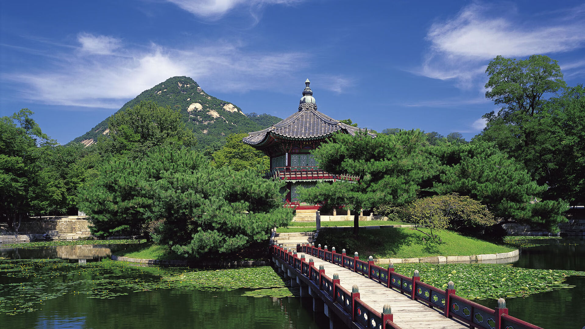 美国队在国际乒联混合团体世界杯中的团体协作与个人表现，美国乒乓球队名单