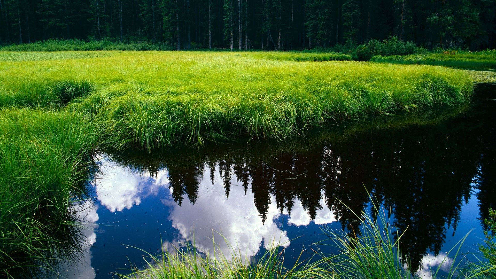 乐鱼电竞-边后卫高度跑动与球队攻防转换速率关系，边后卫可以满场跑吗