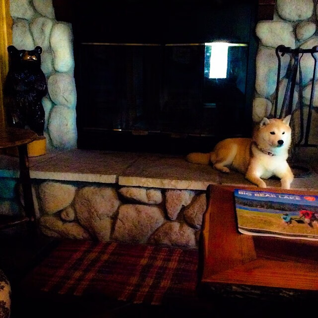 球队视频资料库升级球员可以随时回顾比赛提高学习效率，球队数据